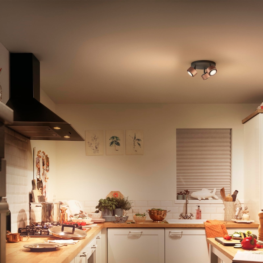 Philips 50653/05/P0 - Φως σποτ LED FERANO 3xLED/4,3W/230V