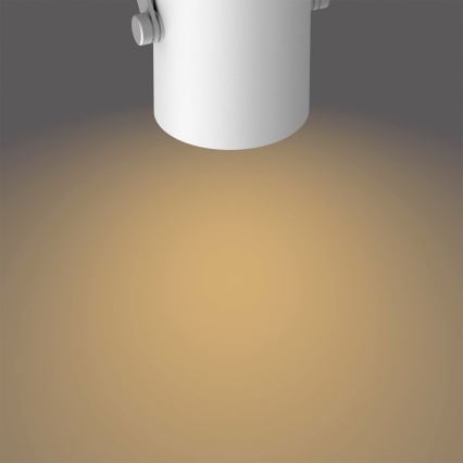 Philips - LED Σποτ φωτιστικό 2xLED/4,3W/230V 2200/2500/2700K