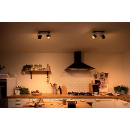 Philips - LED Σποτ με ρύθμιση φωτισμού 2xLED/4.5W/230V