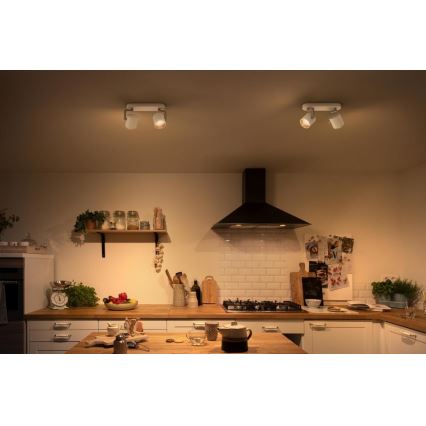 Philips - LED Σποτ με ρύθμιση φωτισμού 2xLED/4.5W/230V