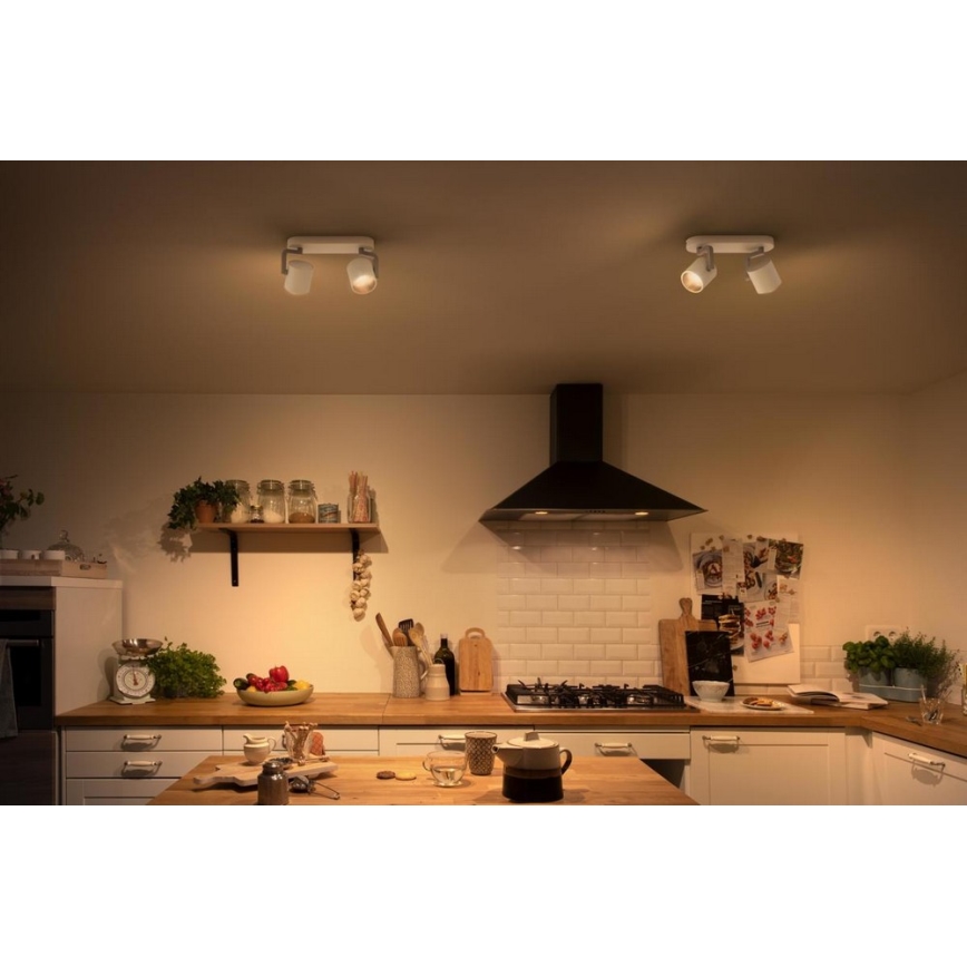 Philips - LED Σποτ με ρύθμιση φωτισμού 2xLED/4.5W/230V