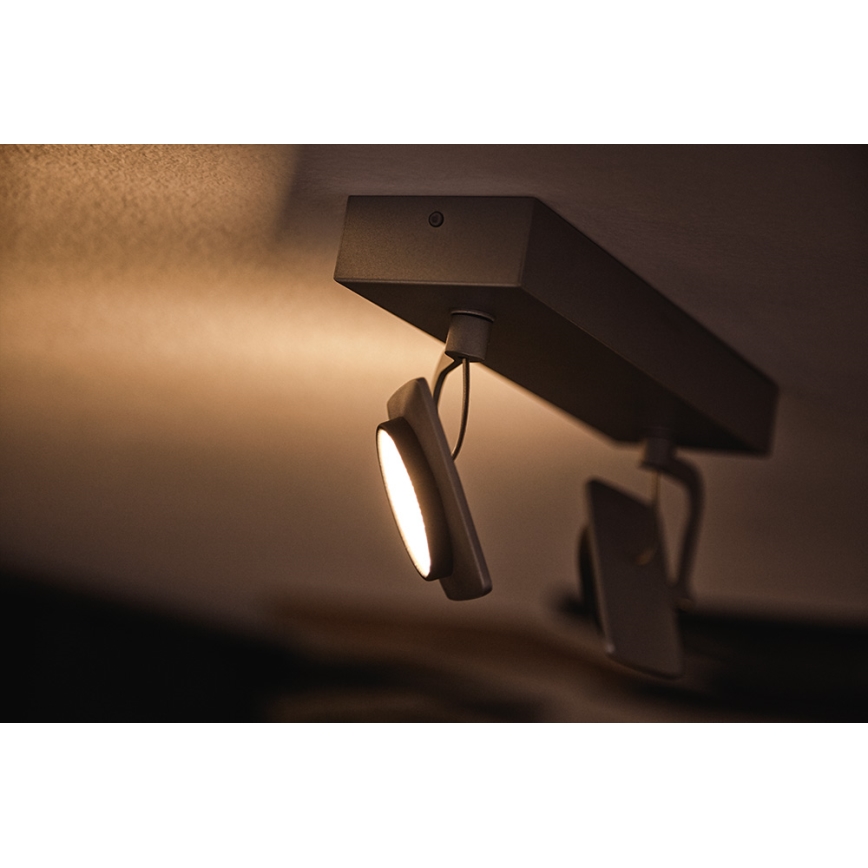 Philips 53192/48/P0 - Φως σποτ LED MILLENNIUM 2xLED/4,5W/230V