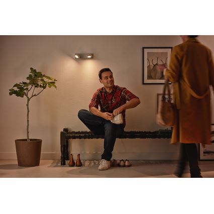 Philips 53192/48/P0 - Φως σποτ LED MILLENNIUM 2xLED/4,5W/230V