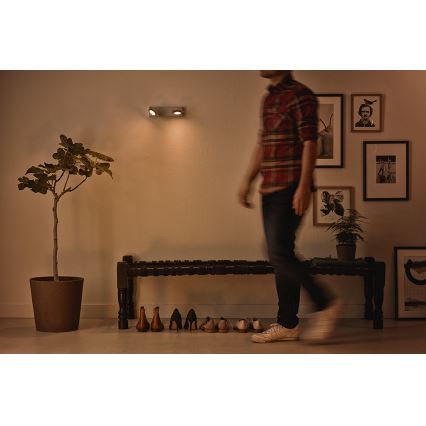 Philips 53192/48/P0 - Φως σποτ LED MILLENNIUM 2xLED/4,5W/230V