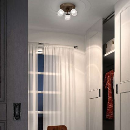 Philips - LED φωτιστικό σημείου 3xLED/4W/230V