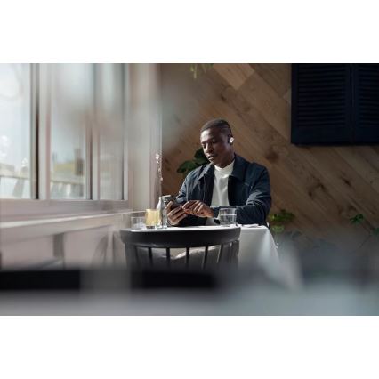 Philips Fidelio T1WT/00 - Ασύρματα ακουστικά IPX4 2x 60 mAh + 650 mAh ασημί