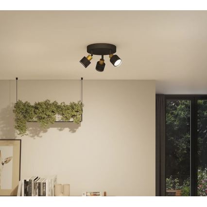 Philips - Φωτιστικό σποτ NIALL 3xGU10/5W/230V μαύρο/χάλκινο