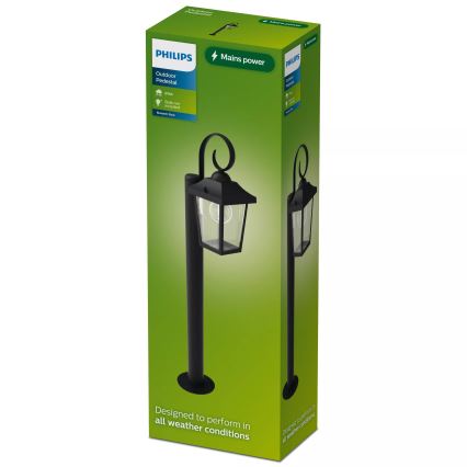 Philips - Φωτιστικό εξωτερικού χώρου BUZZARD 1xE27/25W/230V IP44
