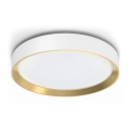 Philips - LED Dimmable φωτιστικό οροφής HANNO LED/24W/230V 2700K λευκό