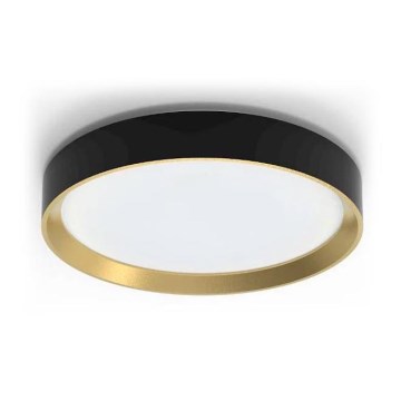 Philips - LED Dimmable φωτιστικό οροφής HANNO LED/24W/230V 2700K μαύρο