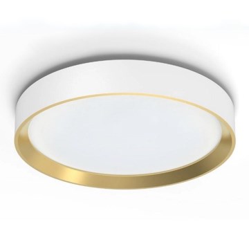 Philips - LED Dimmable φωτιστικό οροφής HANNO SCENE SWITCH LED/24W/230V 4000K λευκό