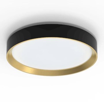 Philips - LED Dimmable φωτιστικό οροφής HANNO SCENE SWITCH LED/24W/230V 4000K μαύρο