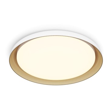 Philips - LED Dimmable φωτιστικό οροφής PEBBLO SCENE SWITCH LED/10W/230V 2700K λευκό