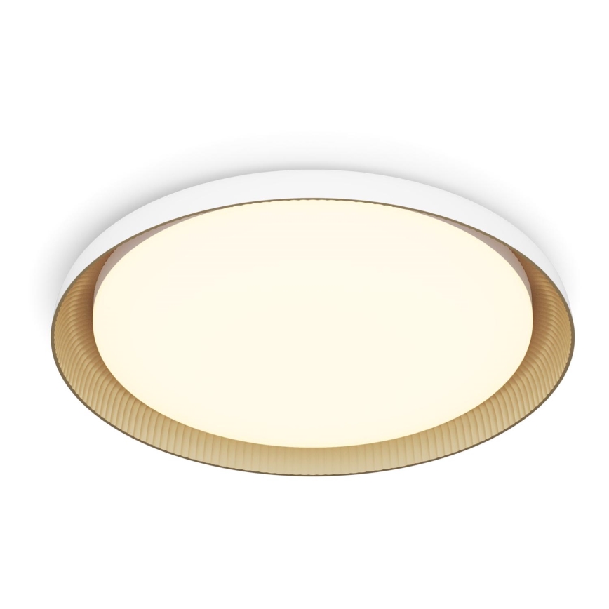 Philips - LED Dimmable φωτιστικό οροφής PEBBLO SCENE SWITCH LED/10W/230V 2700K λευκό
