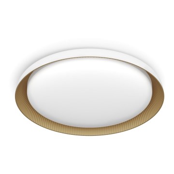 Philips - LED Dimmable φωτιστικό οροφής PEBBLO SCENE SWITCH LED/10W/230V 4000K λευκό