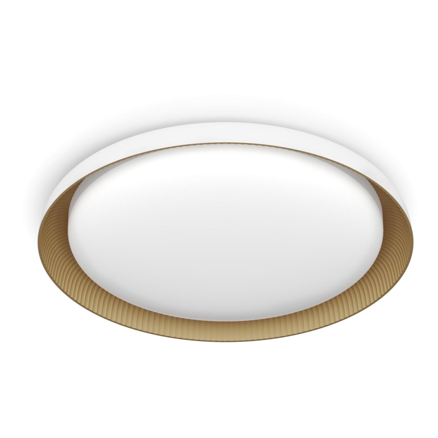 Philips - LED Dimmable φωτιστικό οροφής PEBBLO SCENE SWITCH LED/10W/230V 4000K λευκό