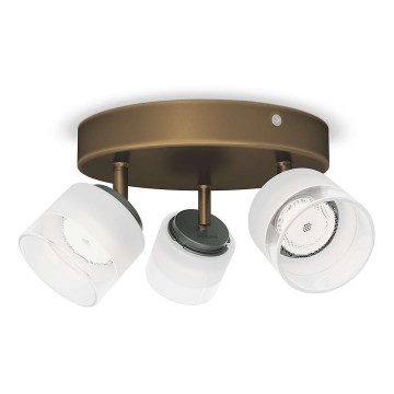 Philips - LED φωτιστικό σημείου 3xLED/4W/230V