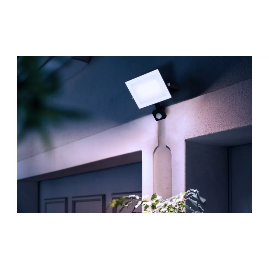 Philips - LED προβολέας με αισθητήρα LOIS LED/30W/230V IP65 5000K