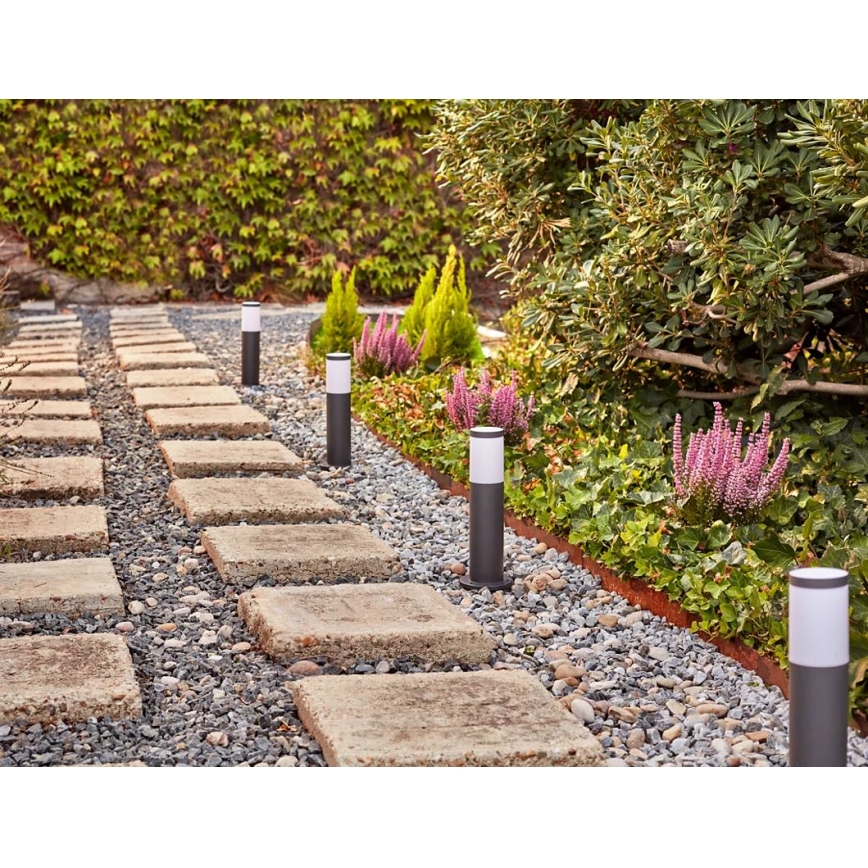 Philips - Εξωτερικό φωτιστικό LED GARDENLINK LED/6W/12V 2700K IP44