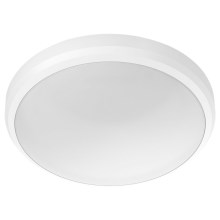 Philips - LED Φωτιστικό οροφής μπάνιου DORIS LED/6W/230V 4000K IP54 λευκό