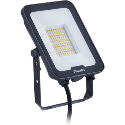 Philips - Προβολέας LED LEDINAIRE ALL-IN LED/30W/230V 3000/4000/6500K IP65