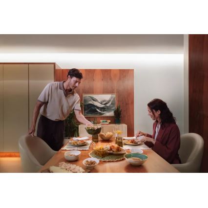 Philips - Ρυθμιζόμενη ταινία LED RGBW Hue FLUX 3+2m LED/48,5W/230V 2200-6500K