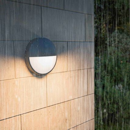 Philips - Επιτοίχιο φωτιστικό εξωτερικού χώρου LED CAPRICORN LED/4,3W/230V IP44