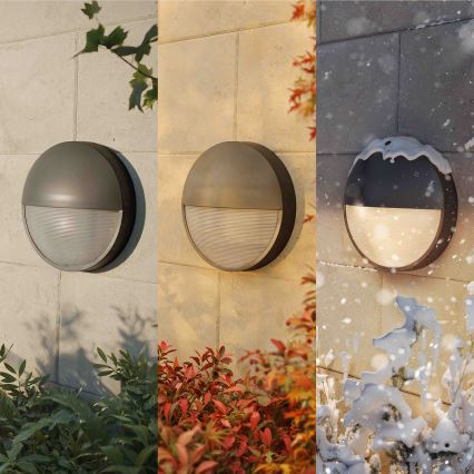 Philips - Επιτοίχιο φωτιστικό εξωτερικού χώρου LED CAPRICORN LED/4,3W/230V IP44