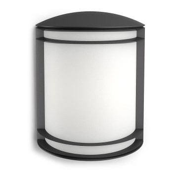 Philips - Εξωτερικό επιτοίχιο φωτιστικό 1xLED/6W/230V IP44