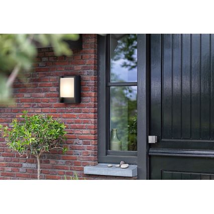 Philips - Επιτοίχιο φωτιστικό εξωτερικού χώρου LED ARBOUR LED/3,8W/230V 2700K IP44
