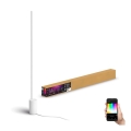 Philips - Ρυθμιζόμενο επιδαπέδιο φωτιστικό LED RGBW Hue SIGNE LED/29W/230V 2000-6500K λευκό