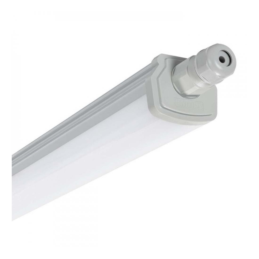 Philips - Φθορίζον φως εργασίας LED LED/30W/230V IP66