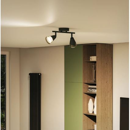 Philips - Φωτιστικό σποτ CLEFT 2xGU10/5W/230V