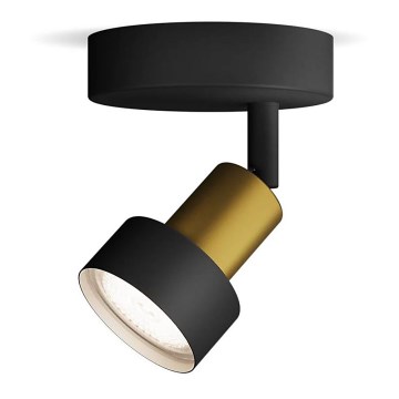 Philips - Φωτιστικό σποτ CONDUIT 1xGU10/5W/230V μαύρο/χάλκινο