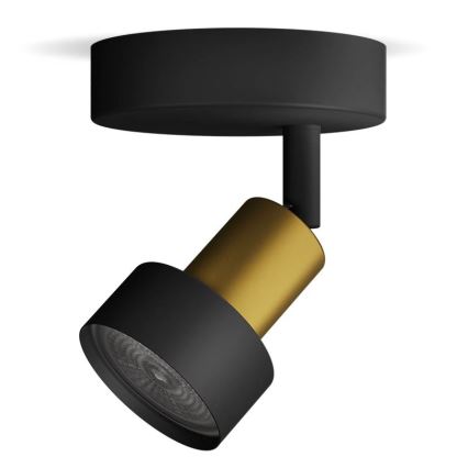 Philips - Φωτιστικό σποτ CONDUIT 1xGU10/5W/230V μαύρο/χάλκινο