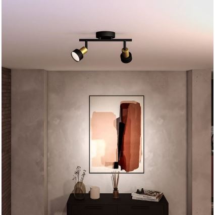 Philips - Φωτιστικό σποτ CONDUIT 2xGU10/5W/230V μαύρο/χάλκινο