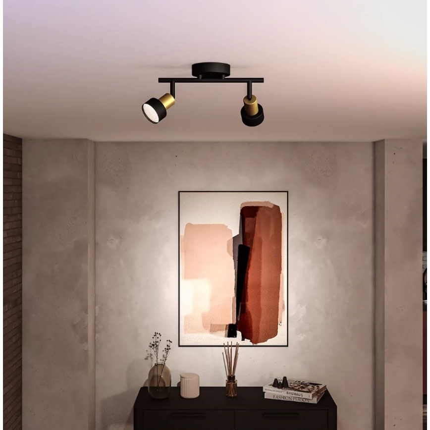 Philips - Φωτιστικό σποτ CONDUIT 2xGU10/5W/230V μαύρο/χάλκινο