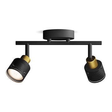 Philips - Φωτιστικό σποτ NIALL 2xGU10/5W/230V μαύρο/χάλκινο