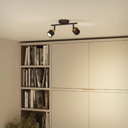 Philips - Φωτιστικό σποτ NIALL 2xGU10/5W/230V μαύρο/χάλκινο
