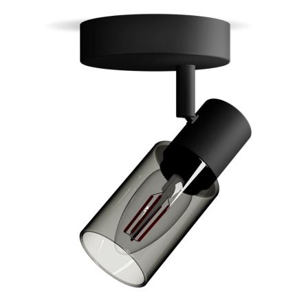 Philips - Φωτιστικό σποτ PALMS 1xE14/25W/230V