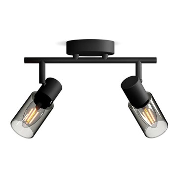 Philips - Φωτιστικό σποτ PALMS 2xE14/25W/230V