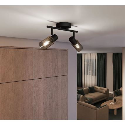 Philips - Φωτιστικό σποτ PALMS 2xE14/25W/230V