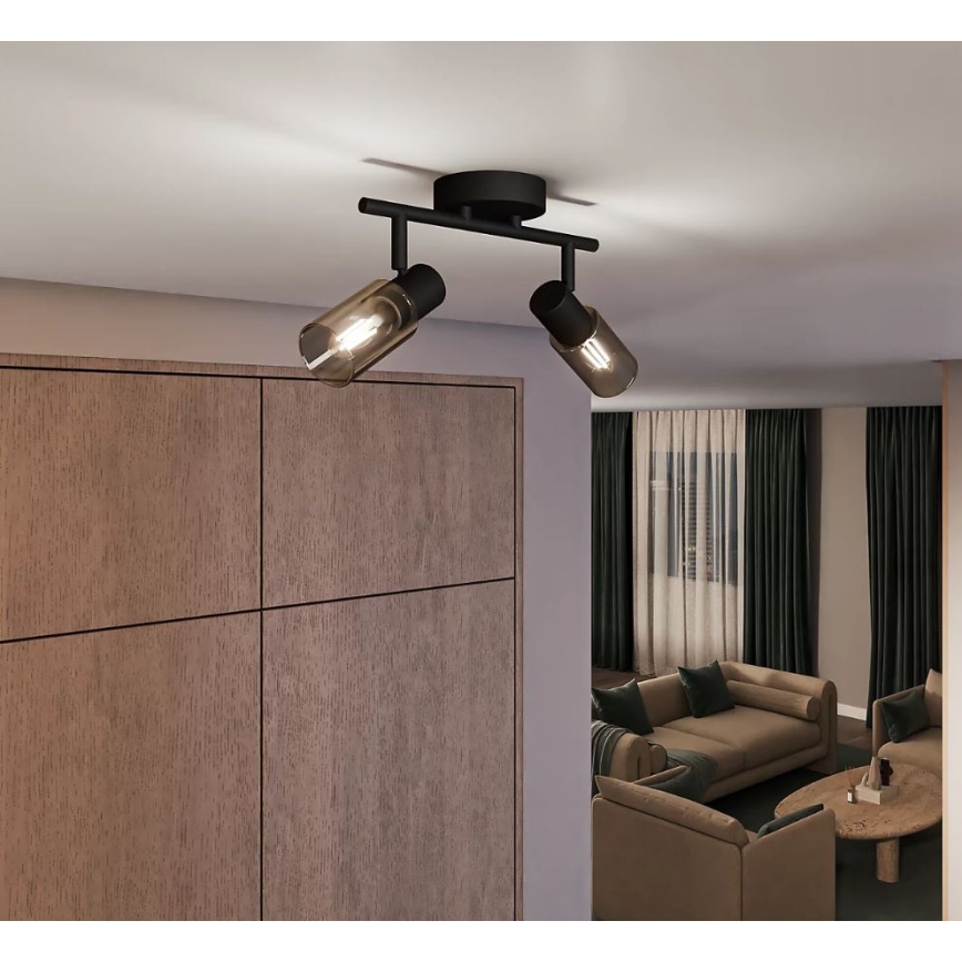 Philips - Φωτιστικό σποτ PALMS 2xE14/25W/230V