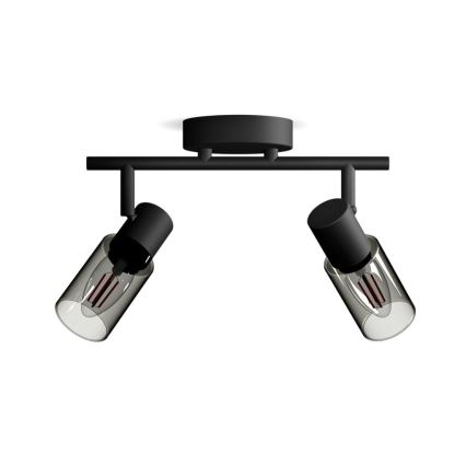 Philips - Φωτιστικό σποτ PALMS 2xE14/25W/230V