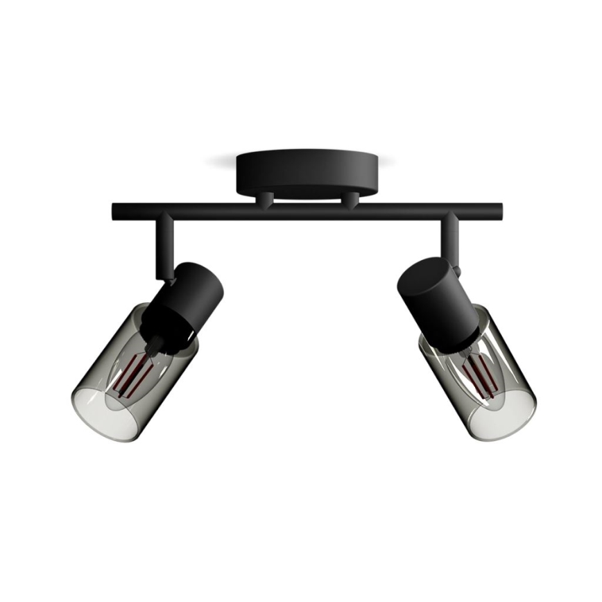 Philips - Φωτιστικό σποτ PALMS 2xE14/25W/230V