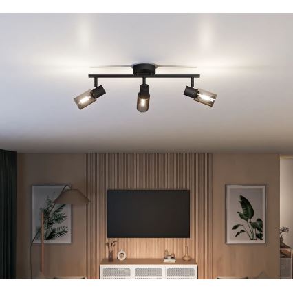 Philips - Φωτιστικό σποτ PALMS 3xE14/25W/230V