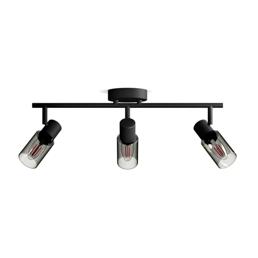 Philips - Φωτιστικό σποτ PALMS 3xE14/25W/230V