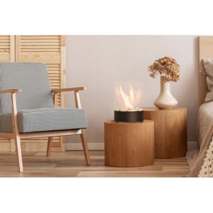 Planika - Τζάκι BIO 36,3x25,1 cm 2,5kW μαύρο