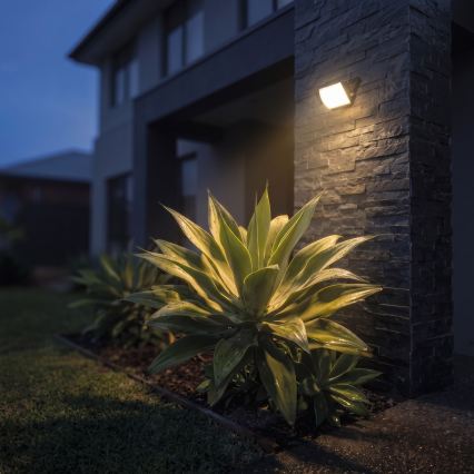 Προβολέας LED TAMBO EVO LED/10W/230V 4000K IP65 μαύρο