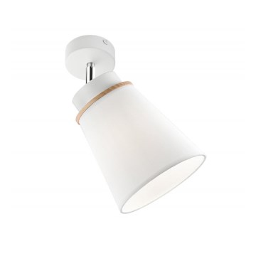 Προβολέας τοίχου AGUSTINO 1xE27/60W/230V